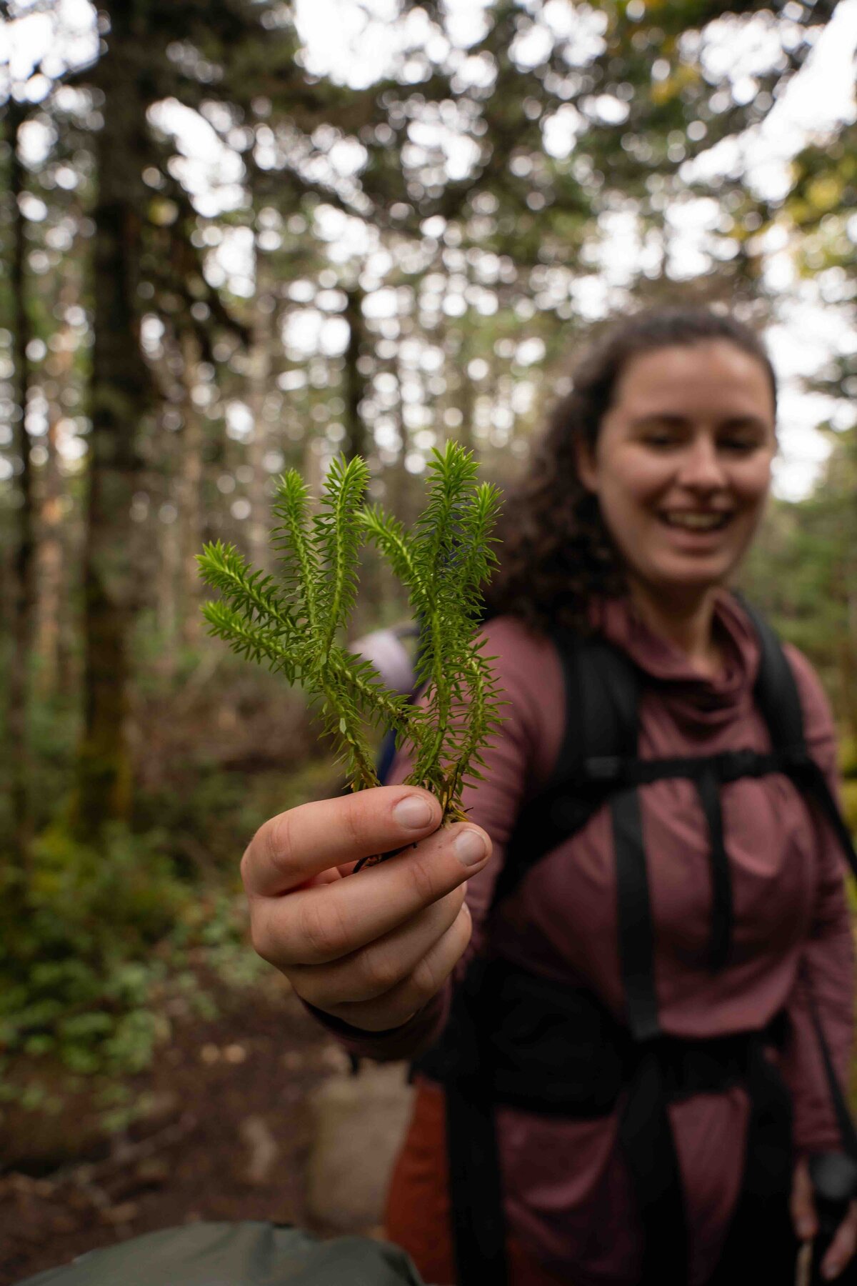 27_Meredith Ewenson Women's Group Hiking Trip_White Mountains New Hampshire_Appalachian Mountain Club_Hut to Hut_October 2025