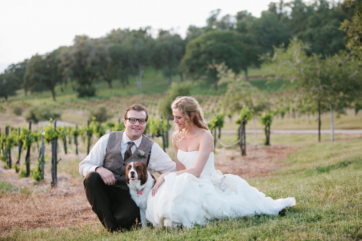 Wedding photos in vineyard with dog