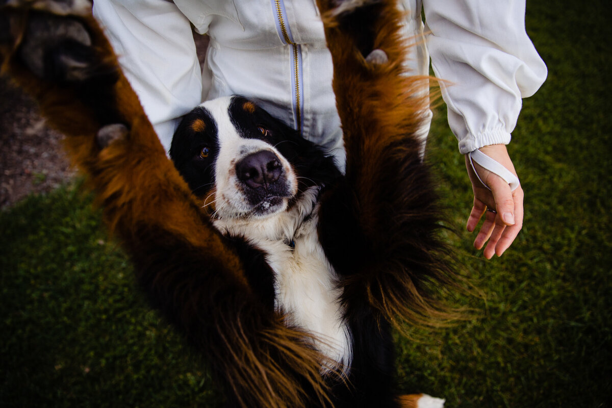 Healdsburg-Engagement-Session41