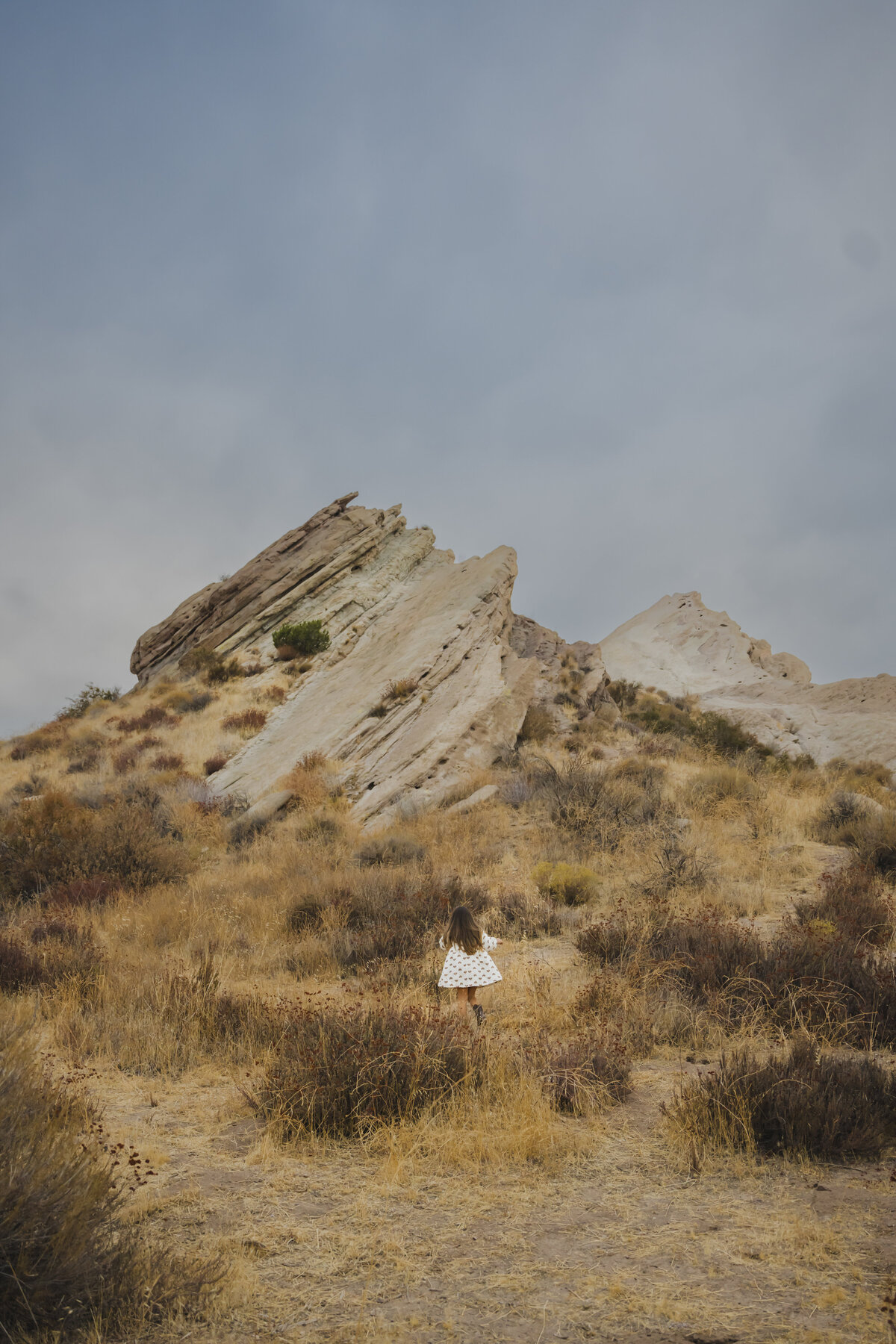 vasquez-rocks-shandel-grey-15