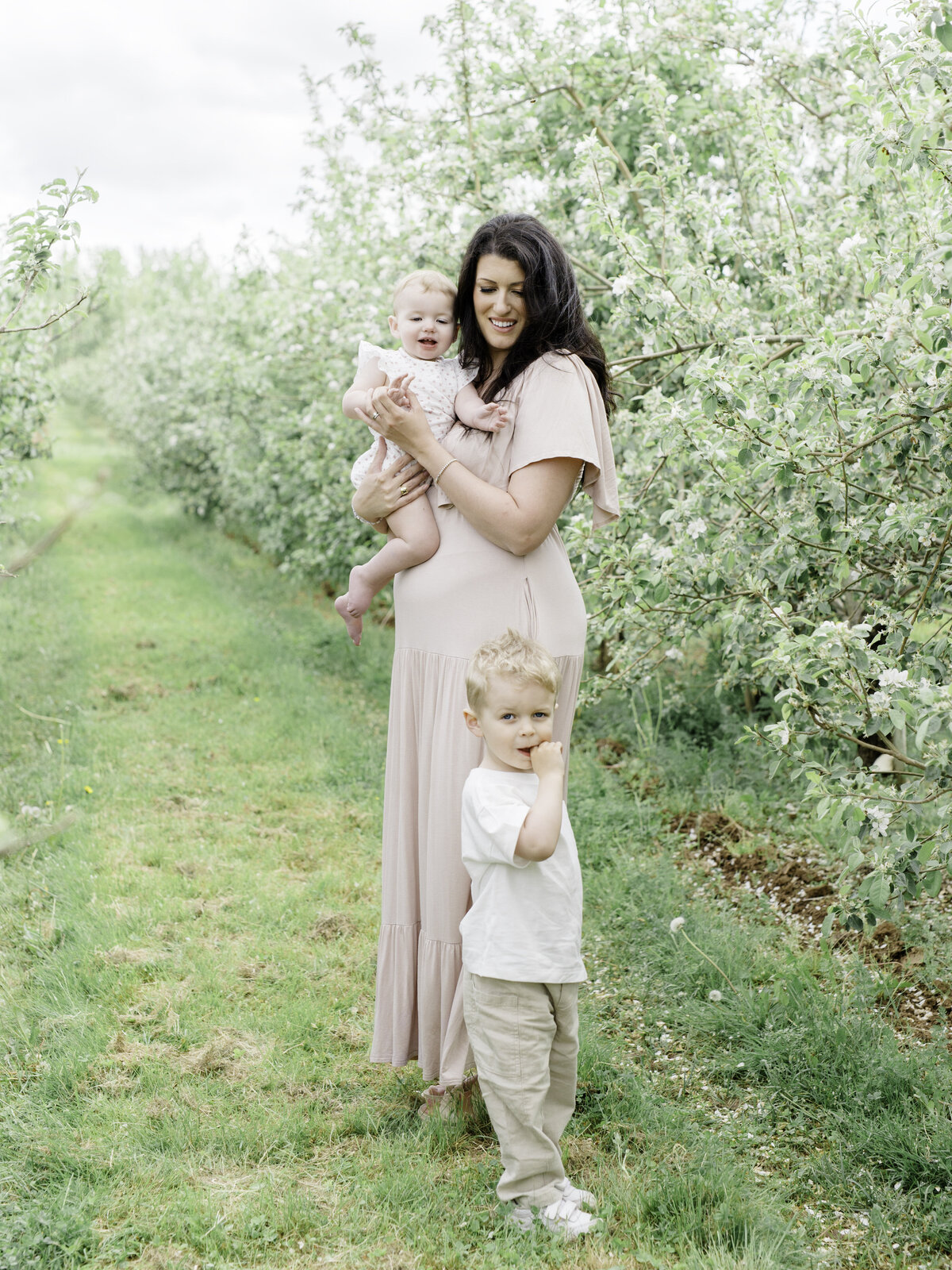 appleblossoms44