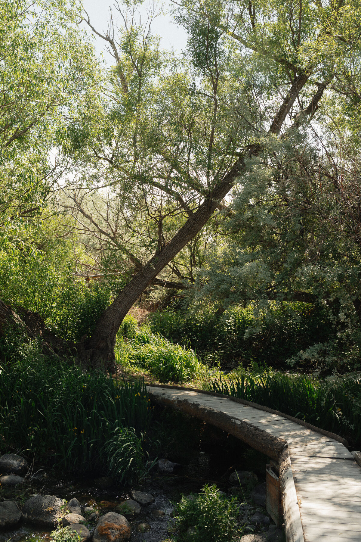 boise-idaho-wedding-hackwellphotoco-5