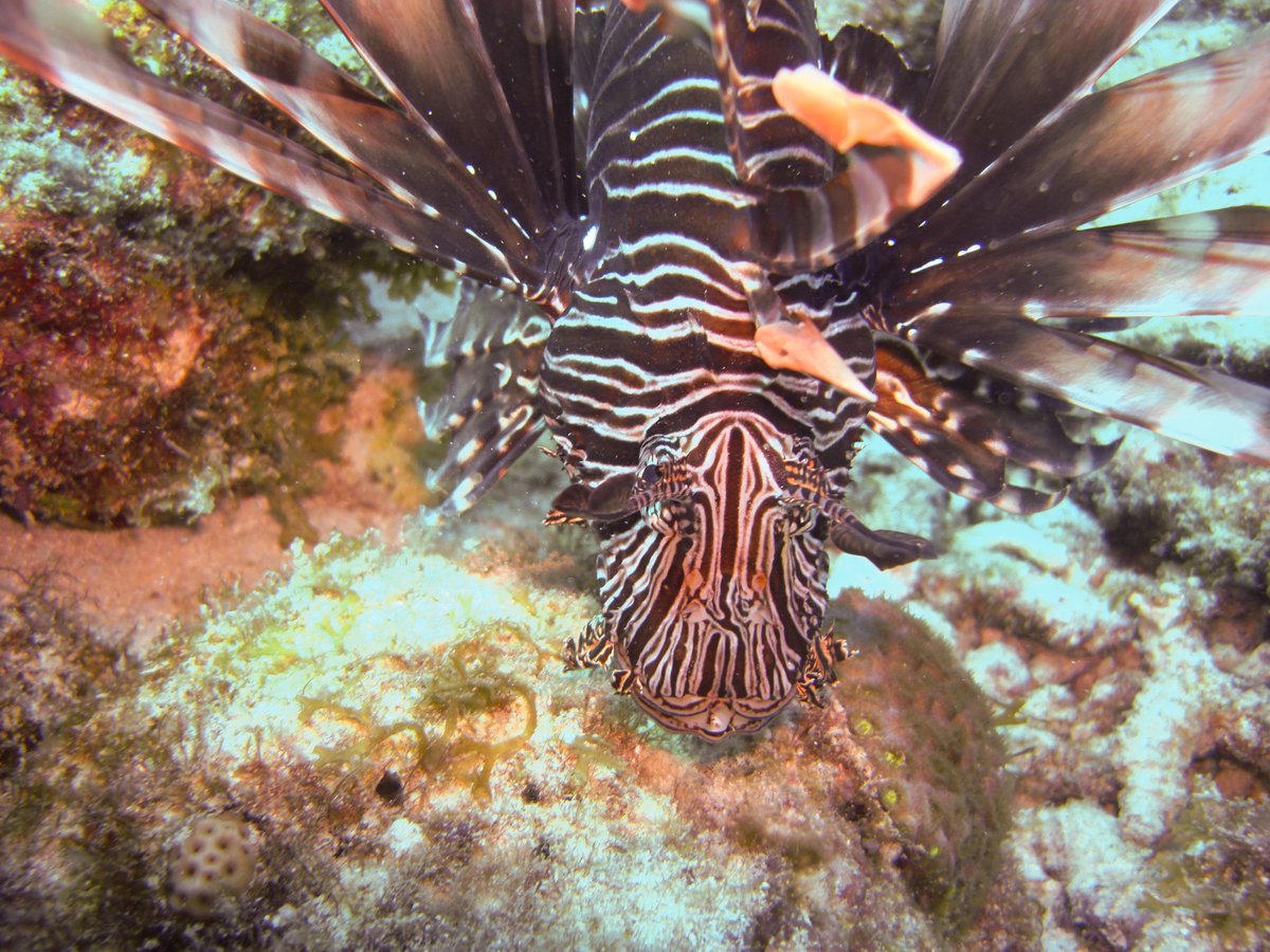Barbados_2017_168