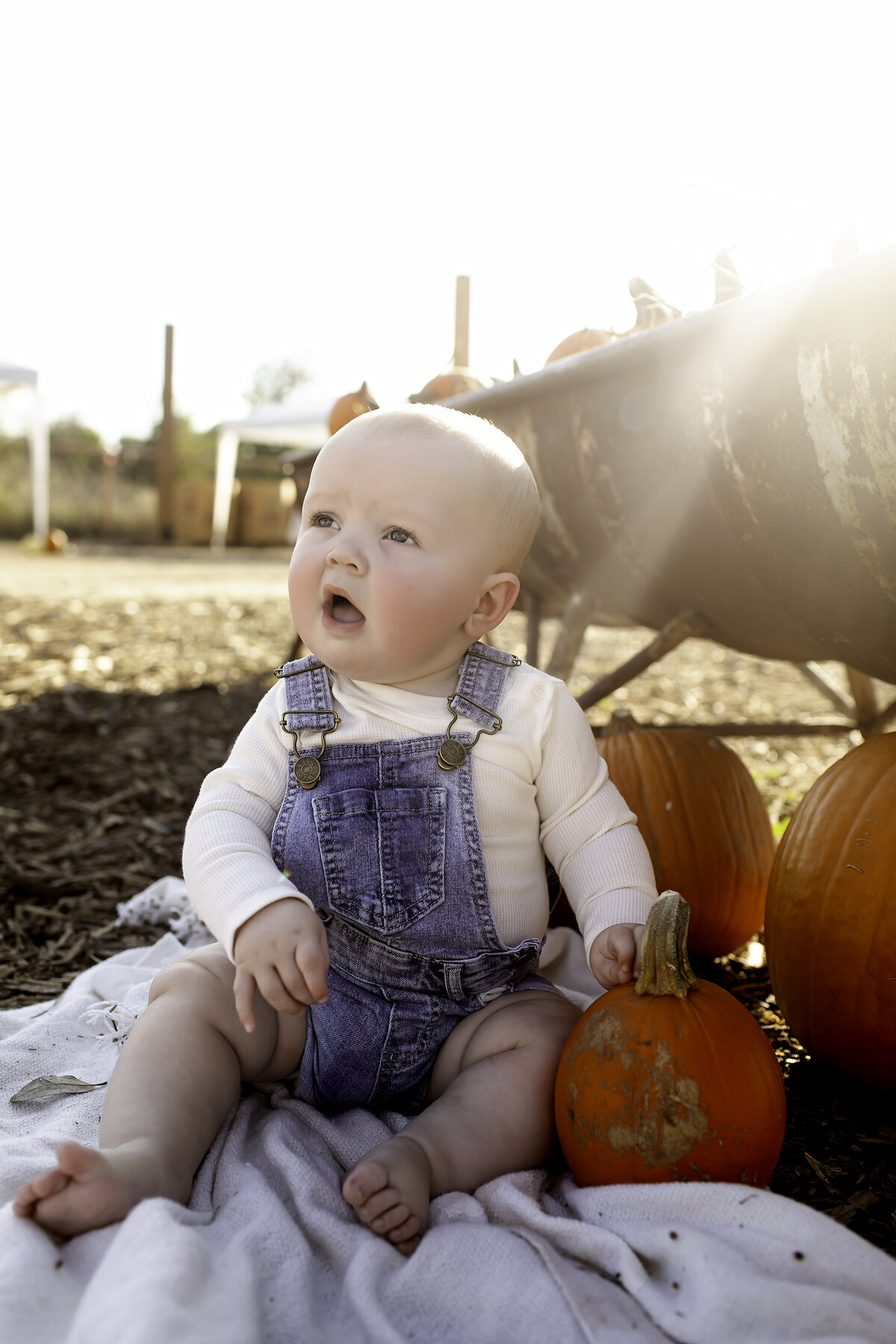 Fort Worth Child Photographer-1V5A4160-Edit