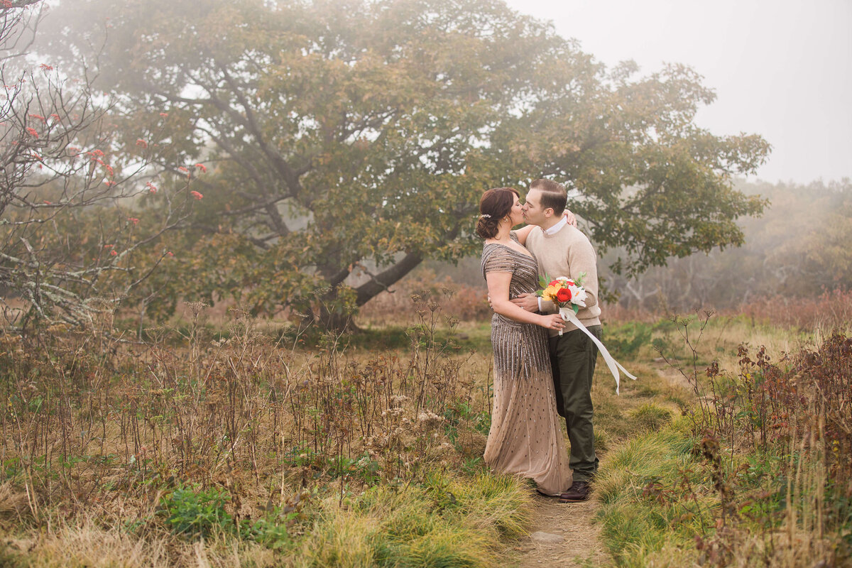 Craggy-Gardens-NC-Elopement-11