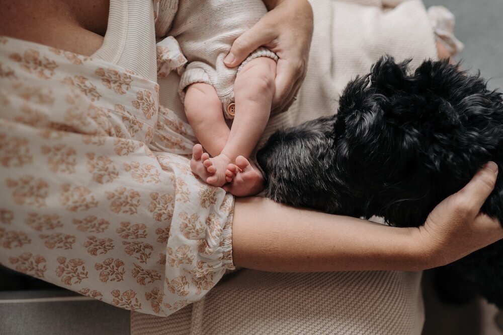 Sydney-newborn-lifestyle-portrait-at-home-photography65