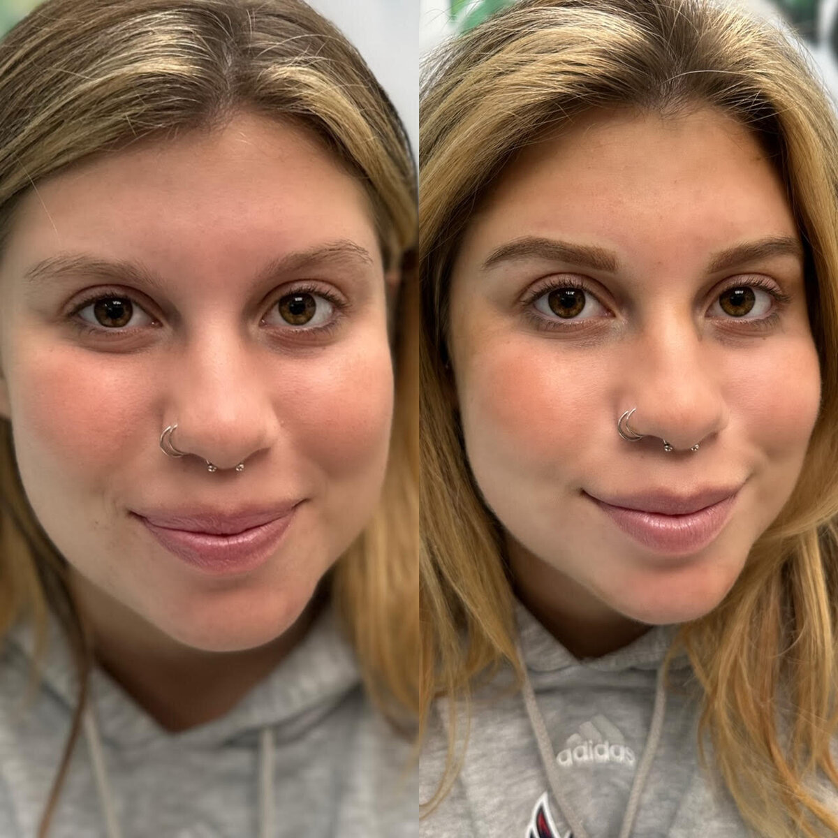 ombre powder brows-parkland-microblading-courtney