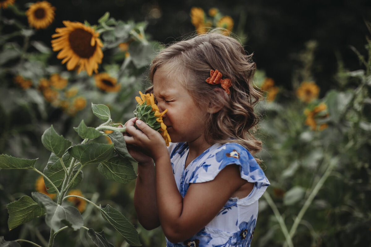 WalshSunflowers35ig