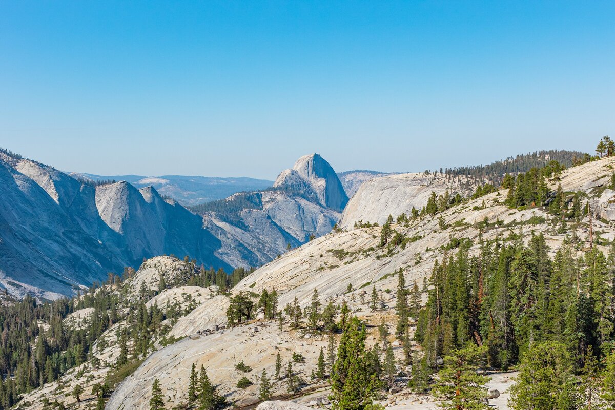 Yosemite-National-Park-Valley-California-Forest-0055