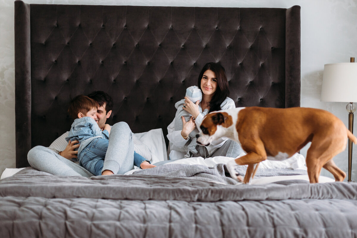 Family Photographer, a young family sits on the bed together, their dogs