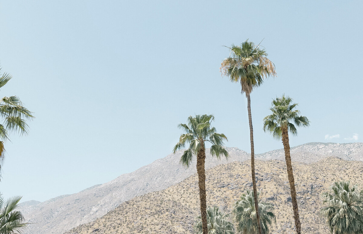 Alyssa-Dawson-Photography_44