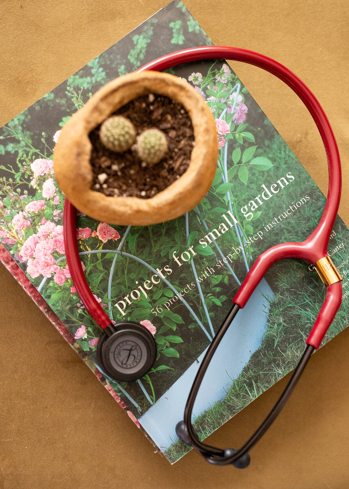 Vignette of book, plant, and stethoscope.