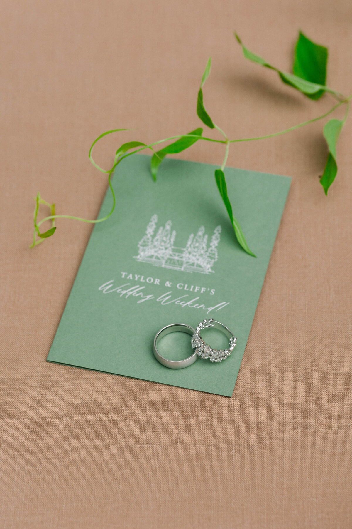 Cedar_Lakes_Estate_Wedding_031