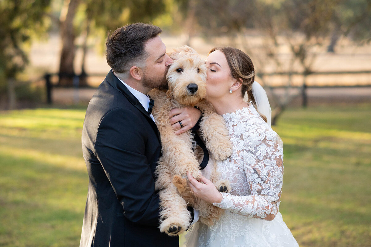 the bride and groom with their dog