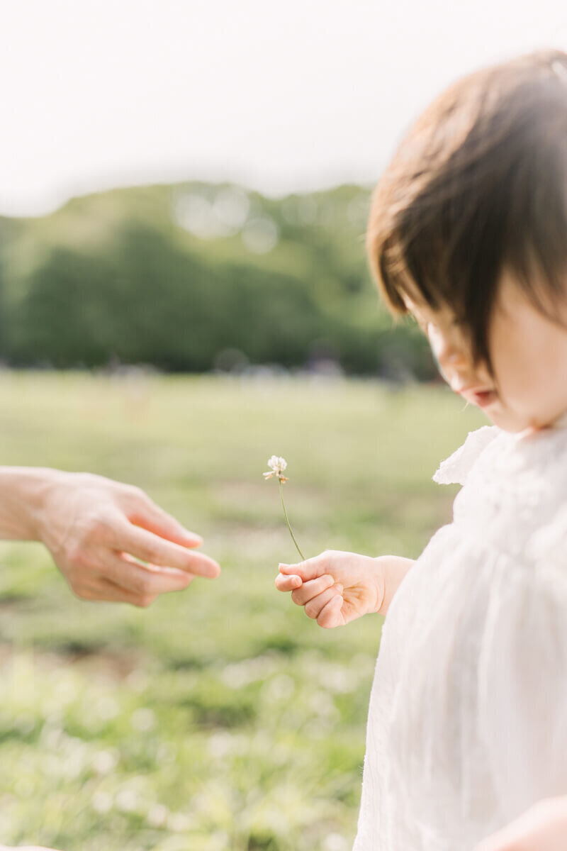 A girl holding her white clover and the mother's hand is trying to touch her hand.
