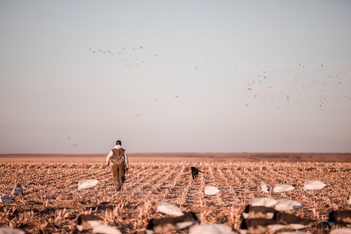 Central kansas duck hunting fowl plains -78
