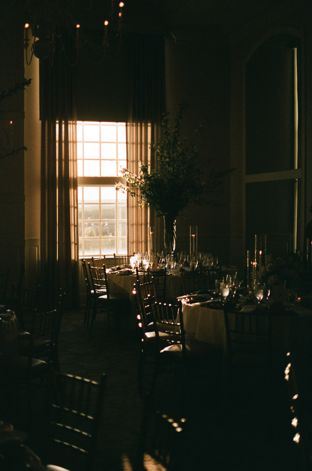 kodak_professional_portra_400_04_28_2025_000239160025