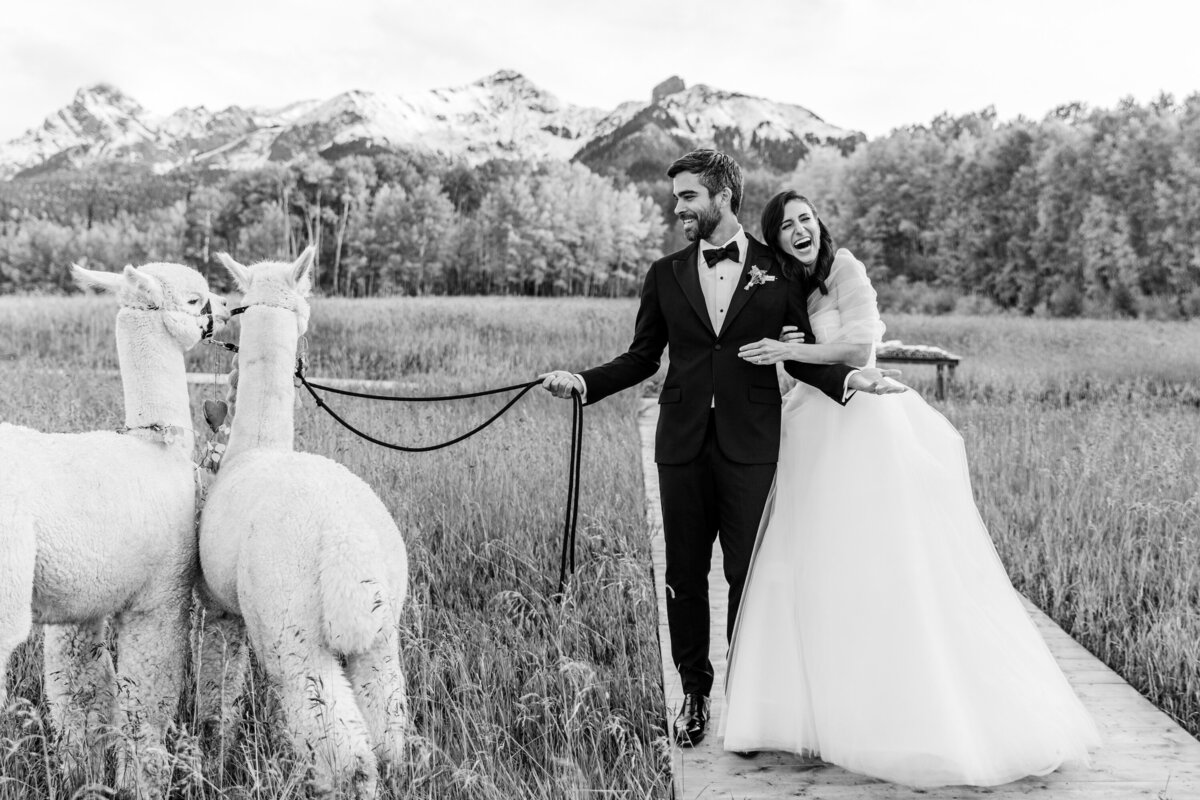 TellurideWeddingPhotographer-AbieLivesayPhotography-SoireeTellurideWeddingPlanner-LaurieJon-737-2