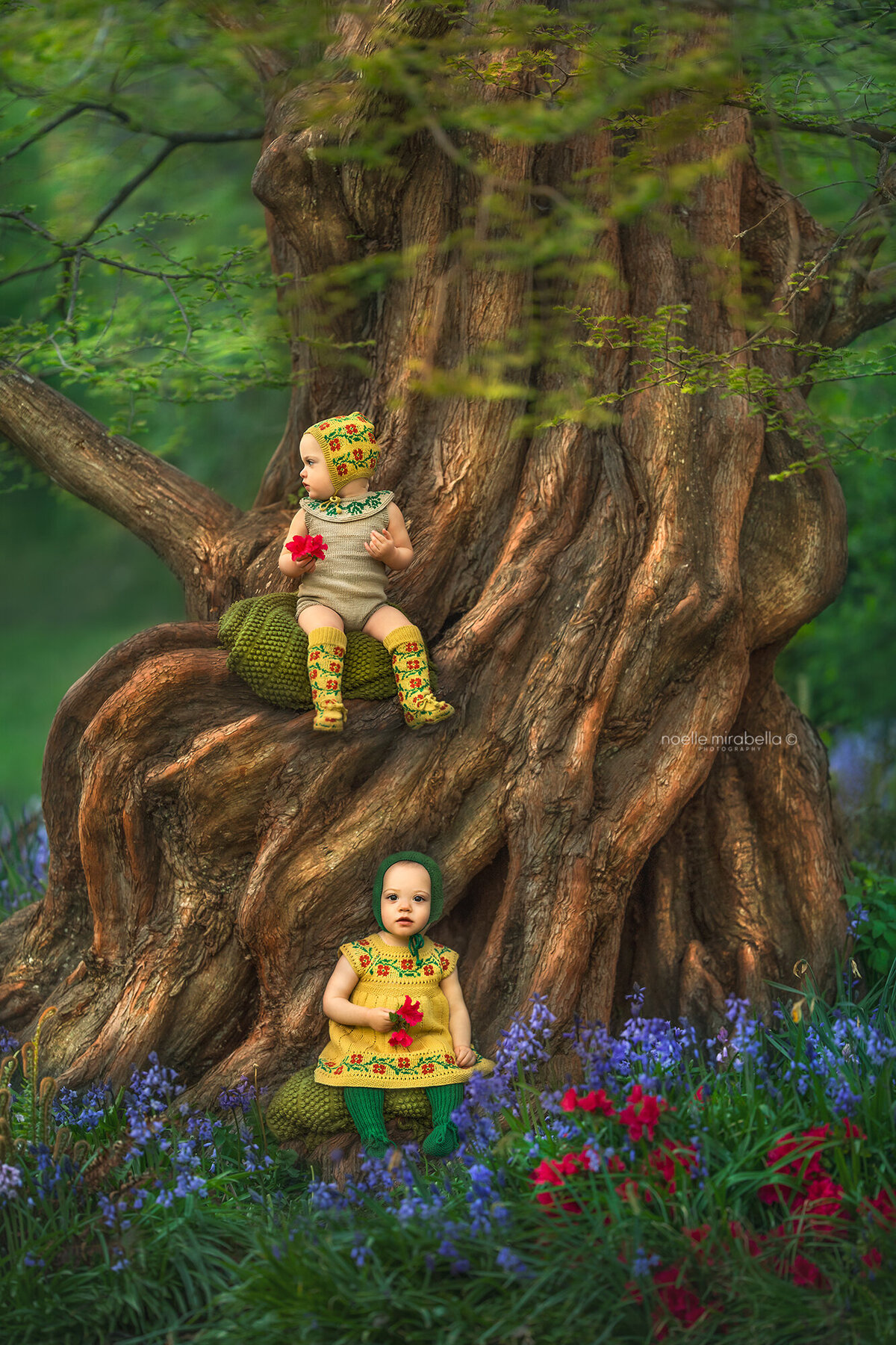 Two babies sitting in a fairy tree surrounded by flowers in Victoria, B.C.
