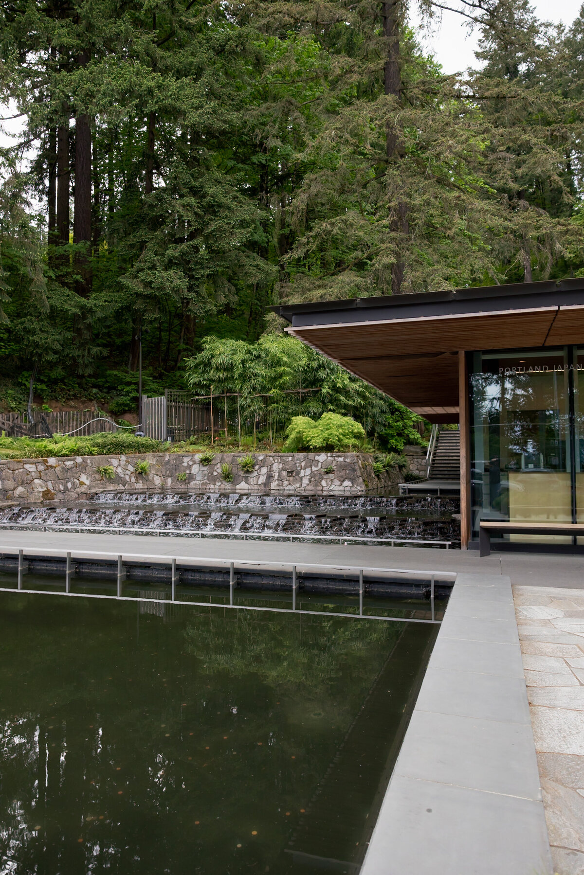 STACIA AND MATT PROPOSAL - MELISSA OHARA PHOTOGRAPHY-219