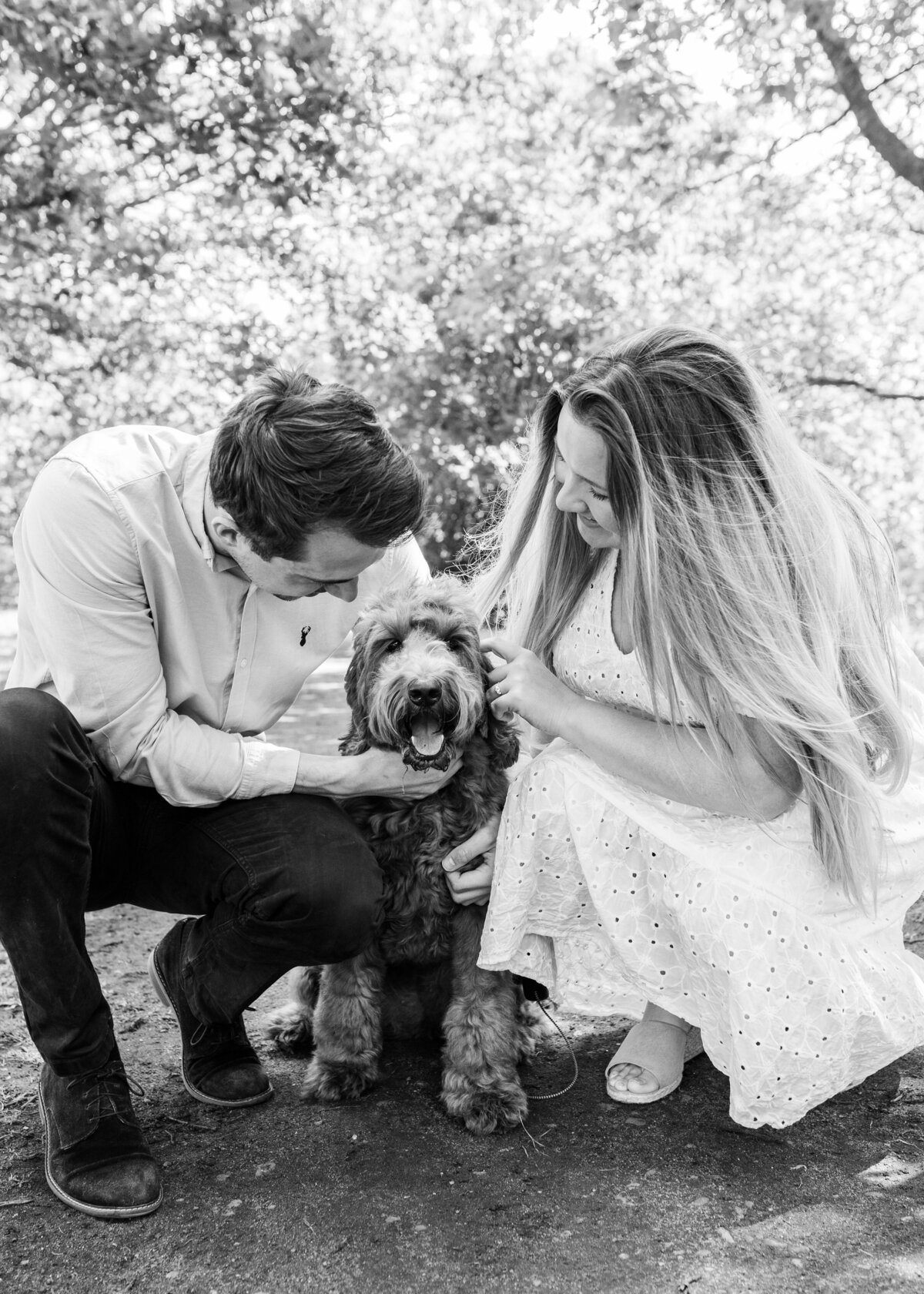 Bedford Dog Photographer