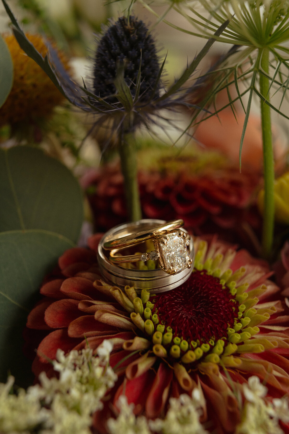 McMurrin Wedding -11