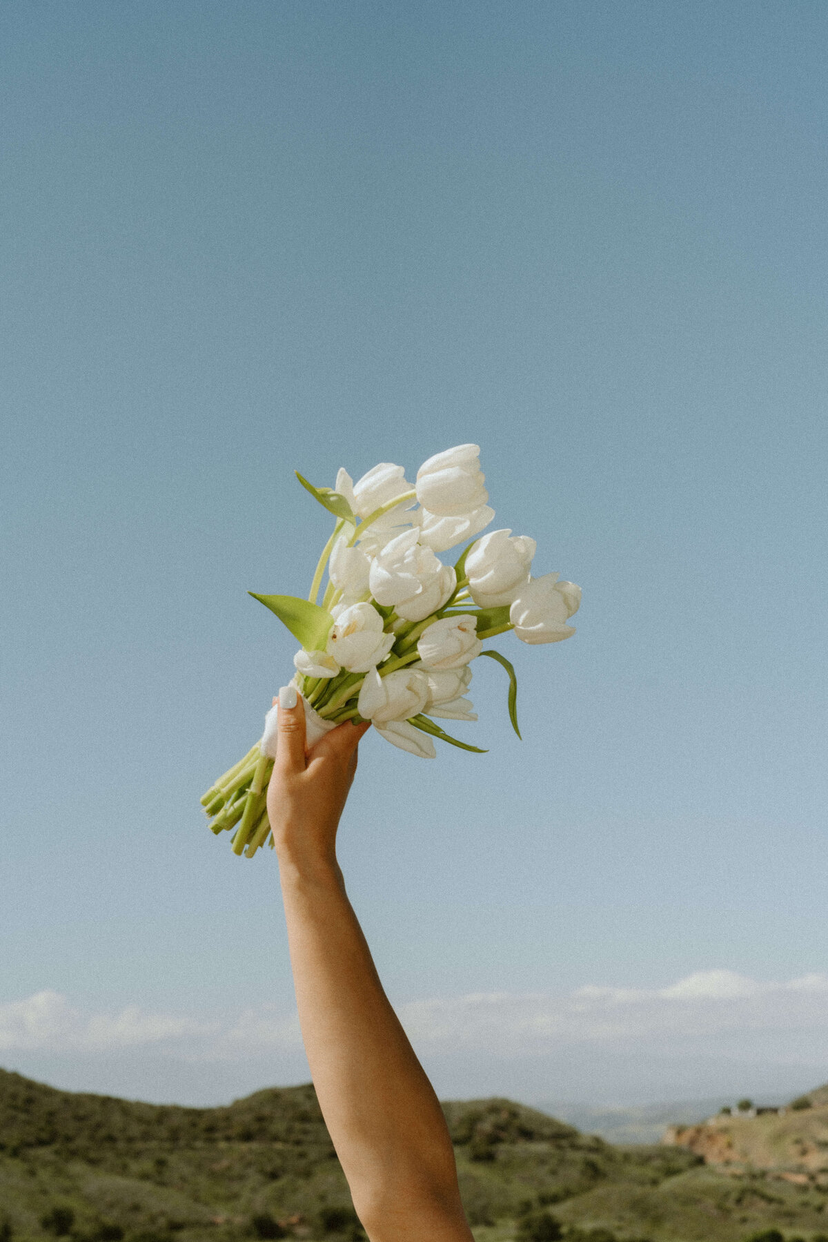 MALIBU WEDDING PHOTOGRAPHER-4505