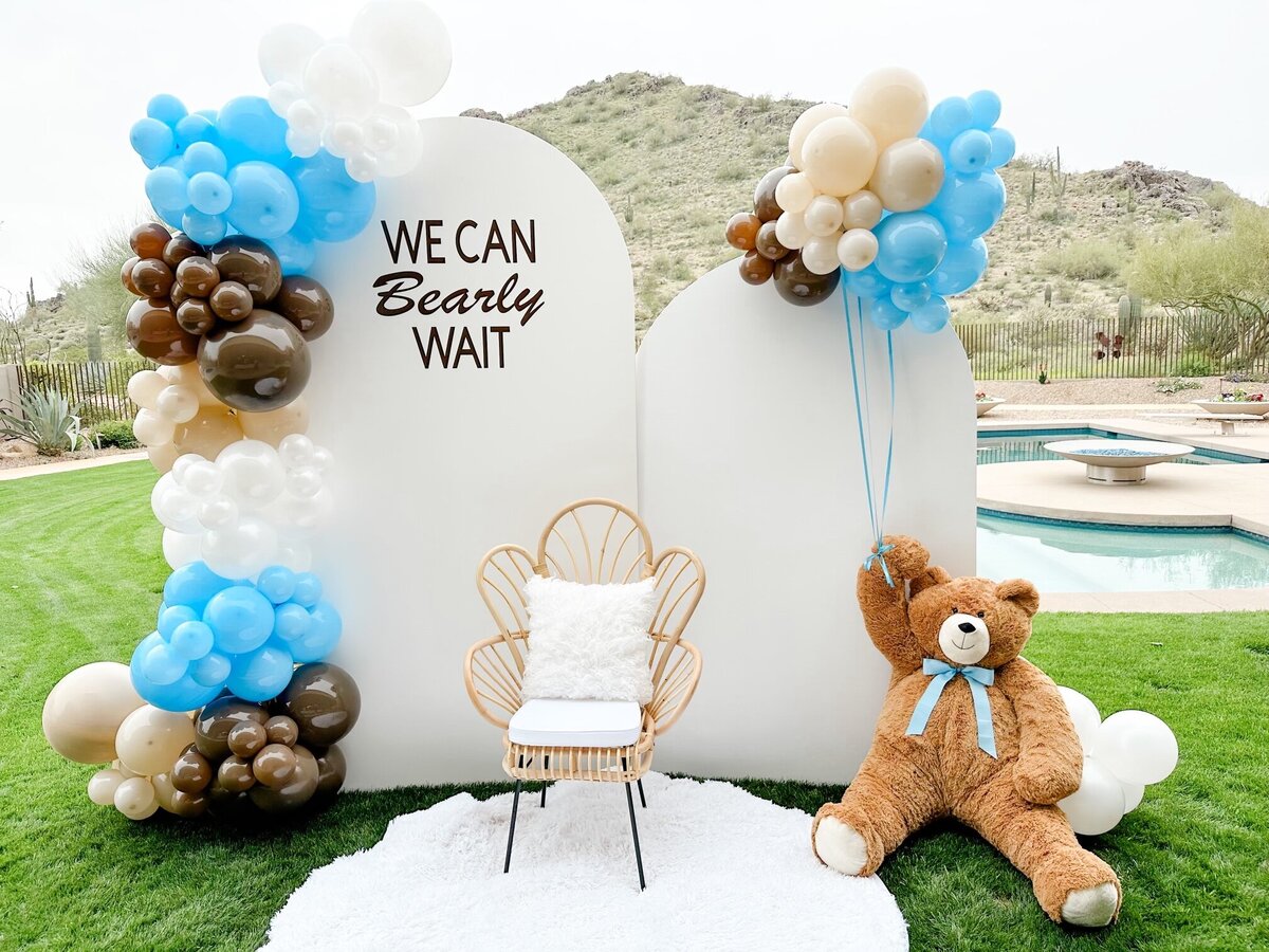 Baby Shower Balloons and Backdrop- AZ Party Squad 