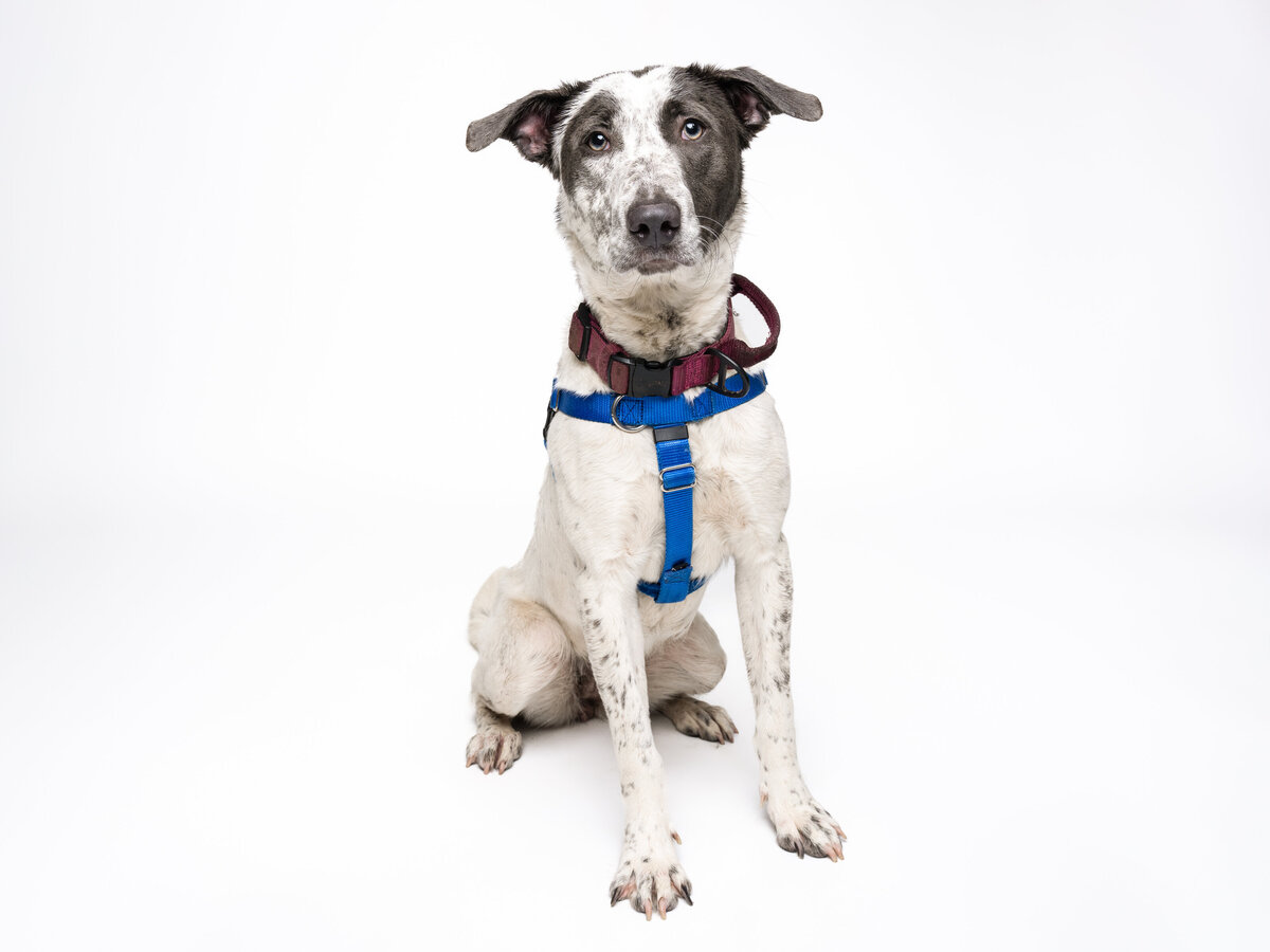 Website3500-DSC01186
