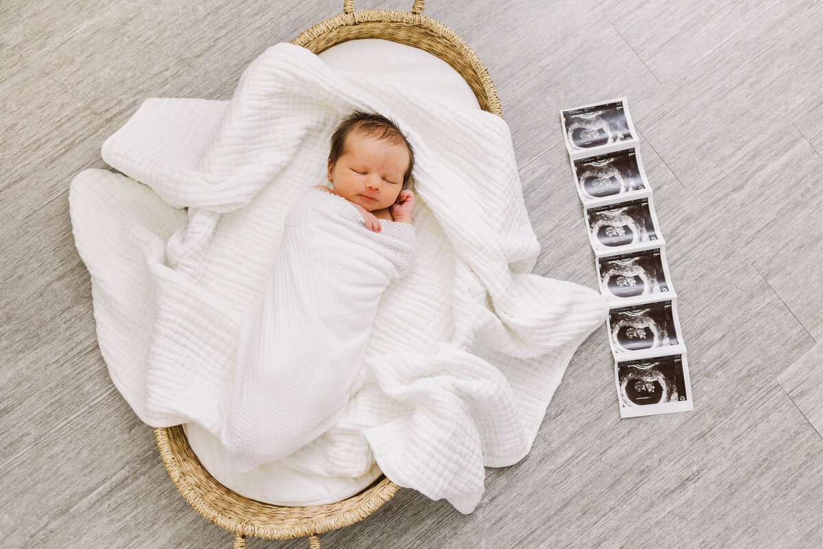 dallas baby photographers