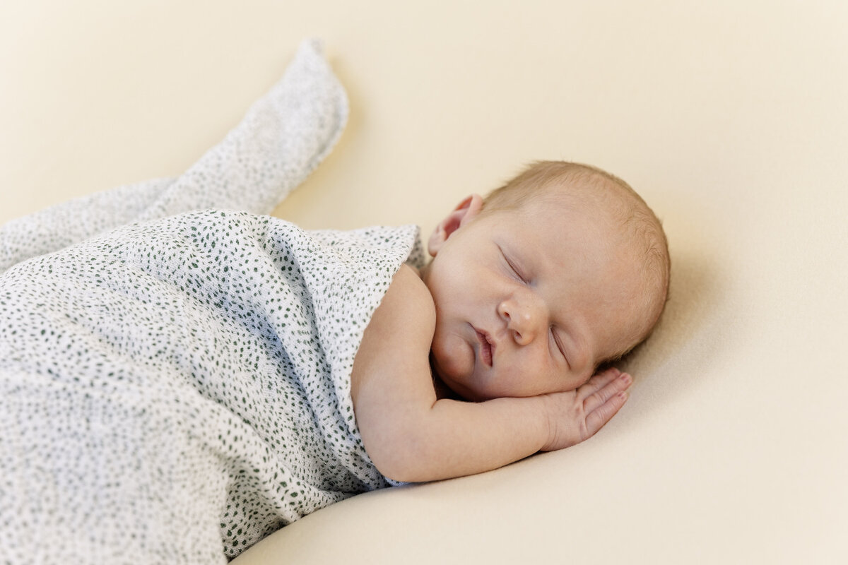 rosamond-california-newborn-photographer-9