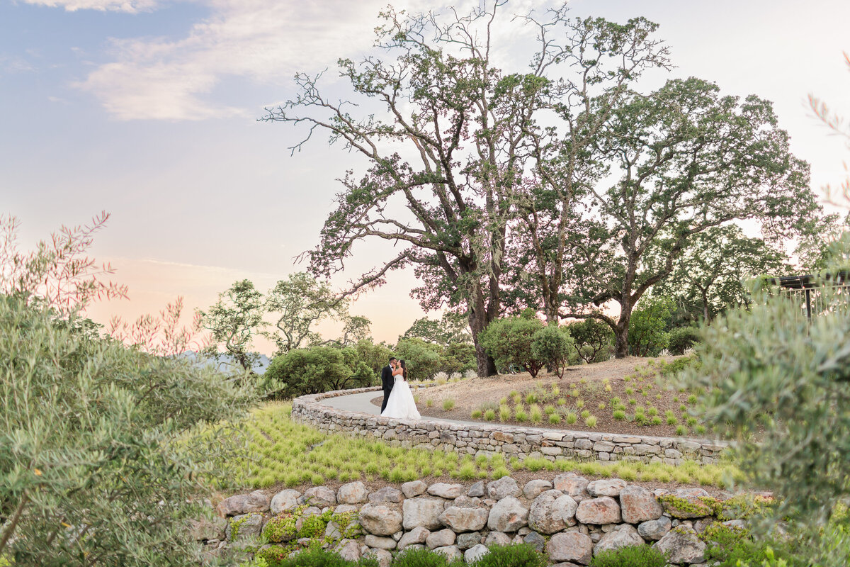 Montage Healdsburg Wedding-22