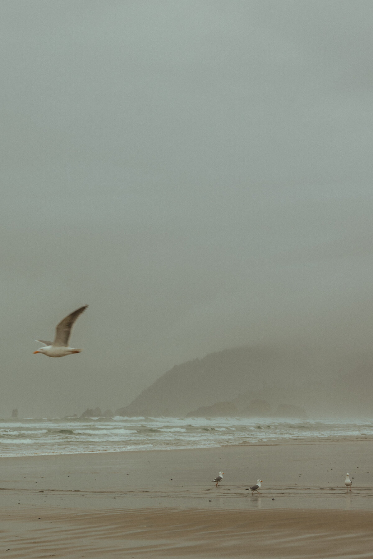 CannonBeachCouple-17