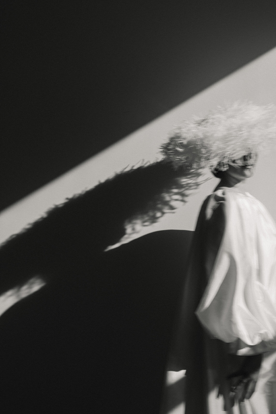 _X3A6641-2