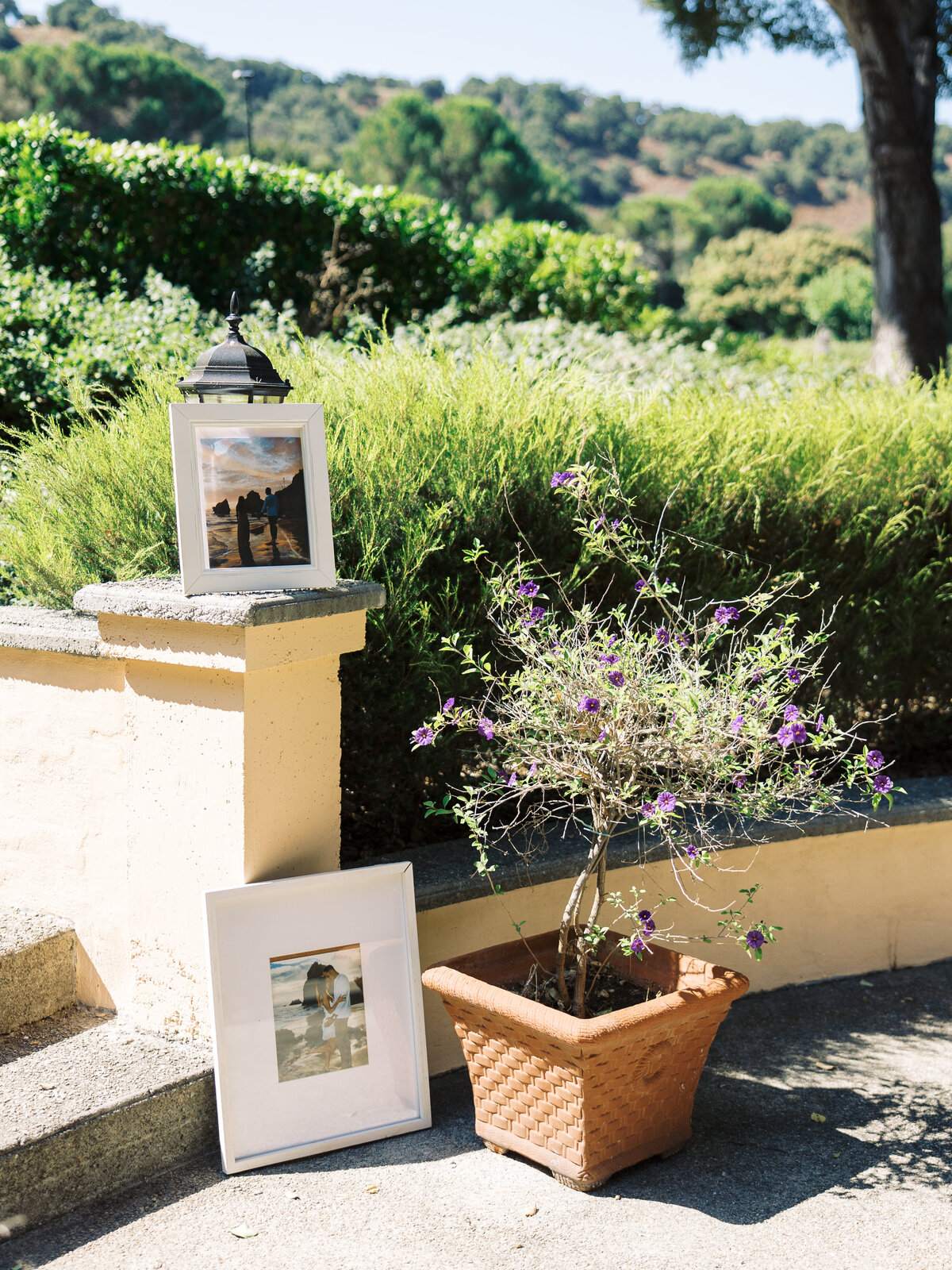 BreJanePhotography-Steph-Will-Wedding-StonePineEstate227