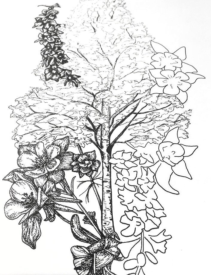 CCC_Birch half sleeve_WIP 2