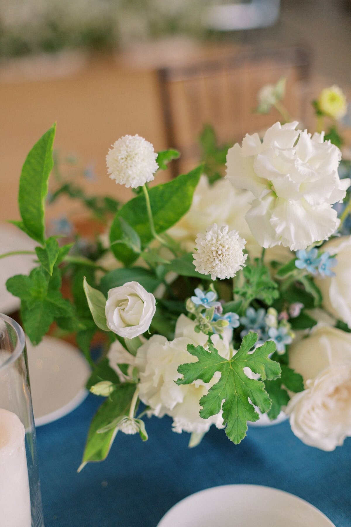 Caitlin-Chris-Blithewold-Mansion-Wedding-44