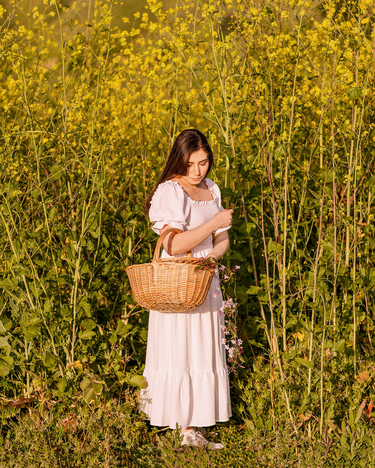 Yellow Flowers Basket Rocksy (2)