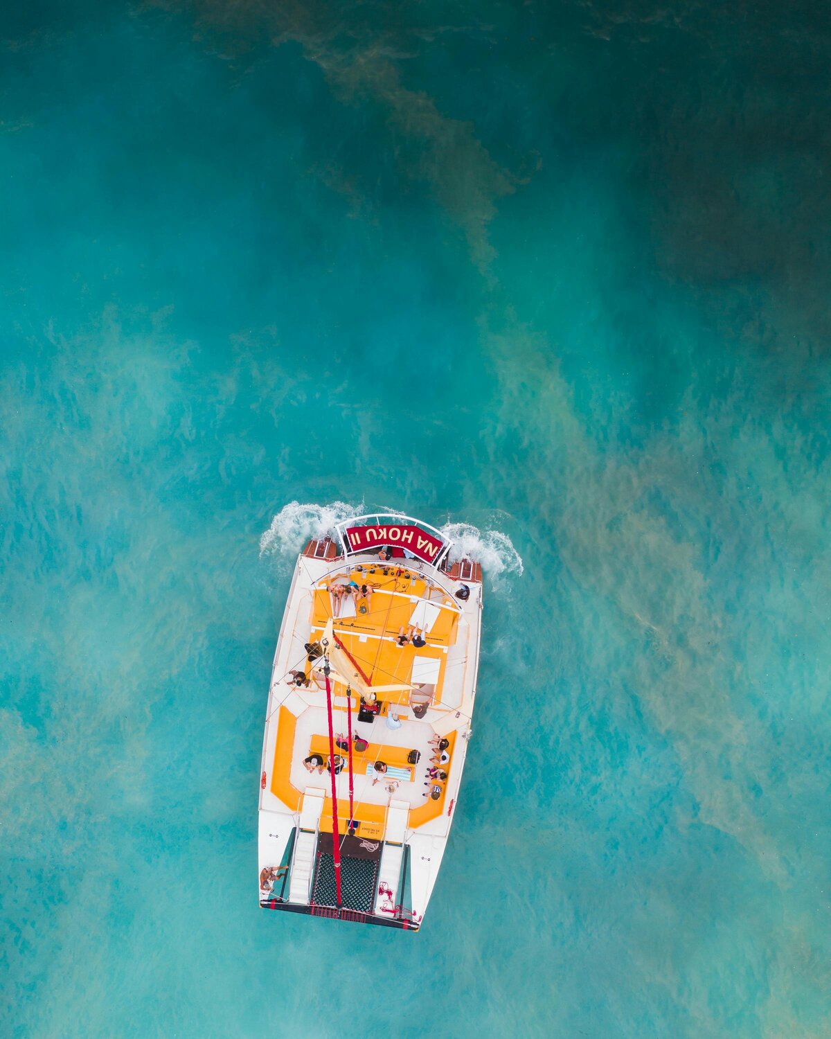 Catamaran Hawaii Palmer Template Vacation Designs