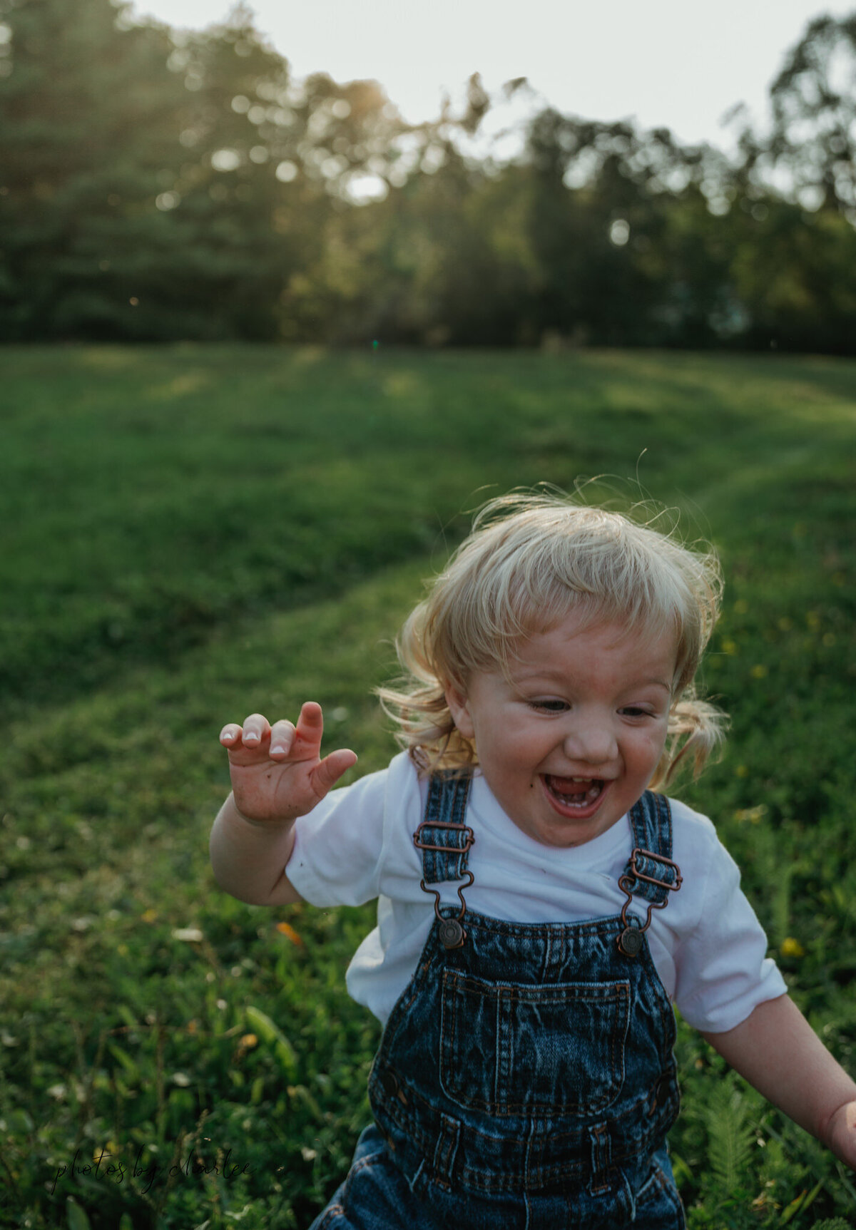 ladysmith family photographer-20