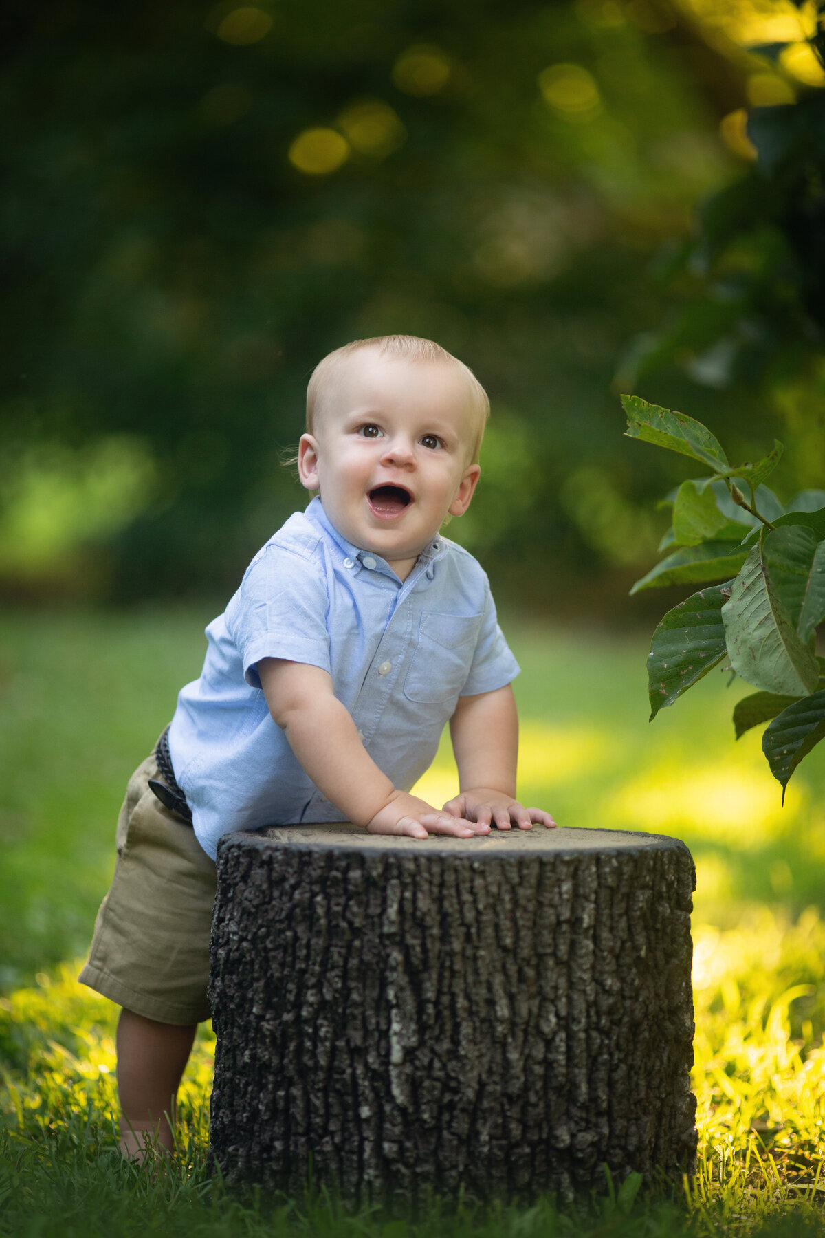 A happy toddler boy in a blue shirt plays on a large stump in a park