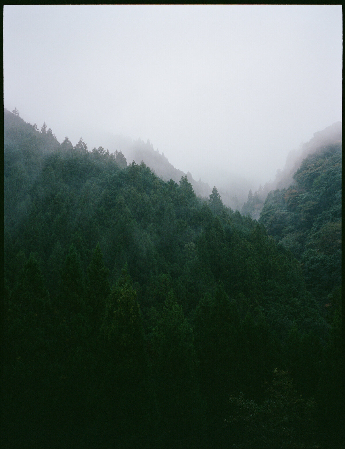 Japan_WebRes 7