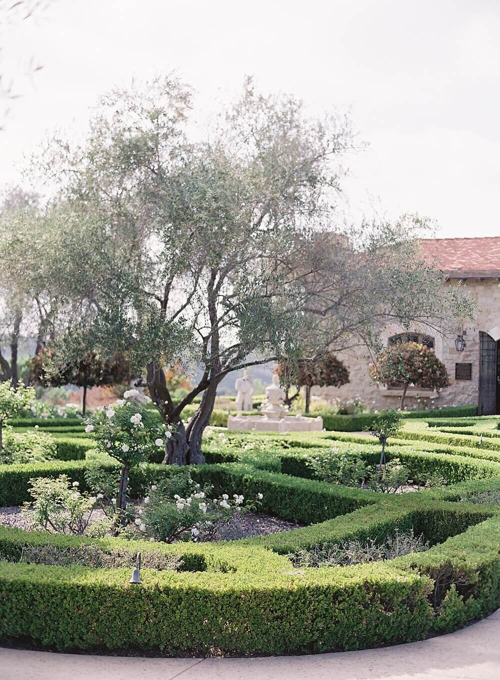 Garden at cal-a-vie spa with olive tree  | Jacqueline Benét
