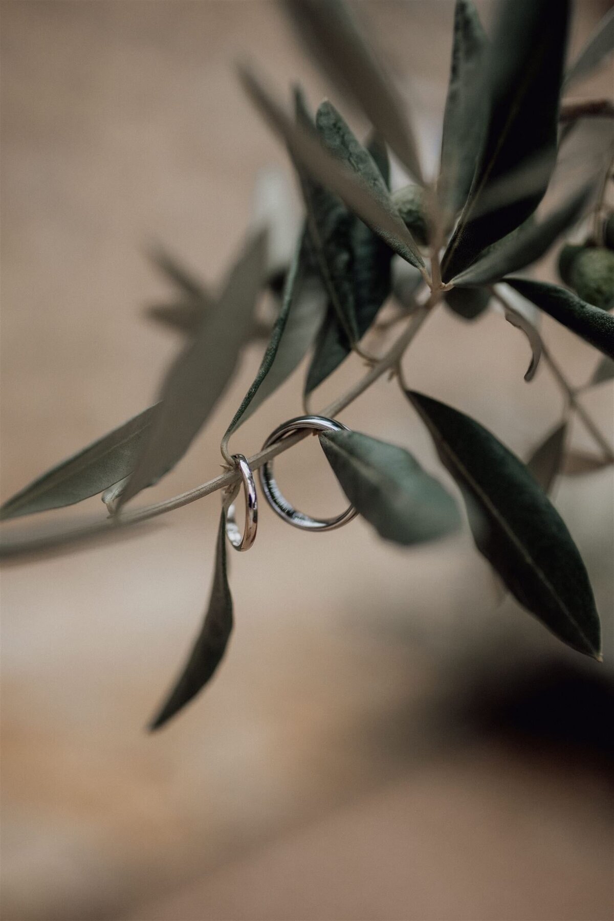 Toskana Wedding - Photographer and Film - Podere Val D'orcia