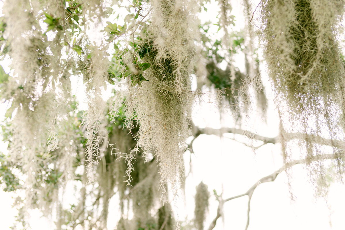 Luxruy-Wedding-Photographer-Hilton-Head-Island14