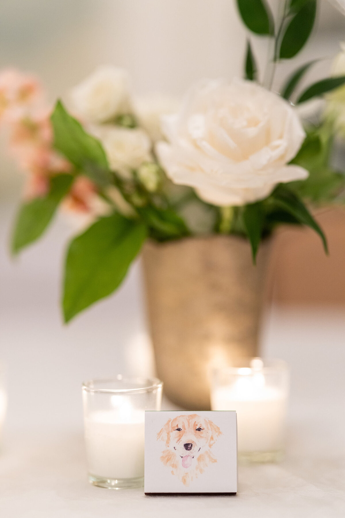 AaronWatsonPhotography1150