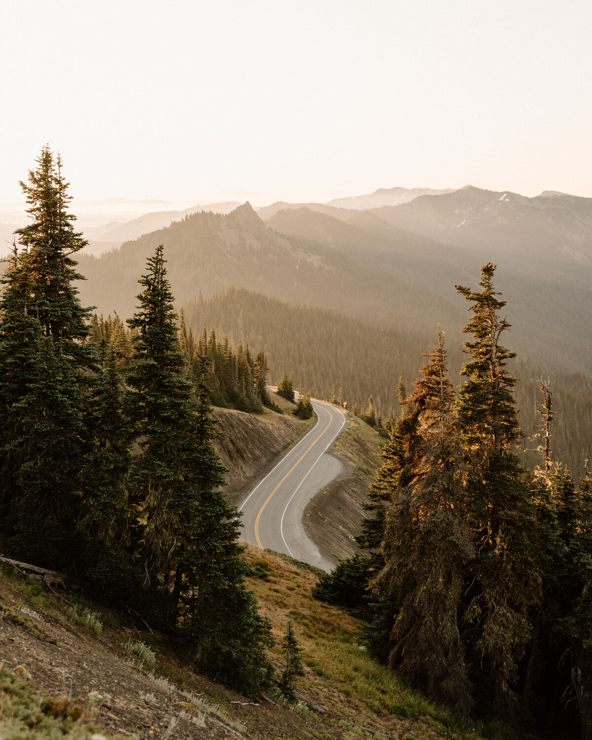 hurricane_ridge_sunrise_olympic_national_park_washington_2
