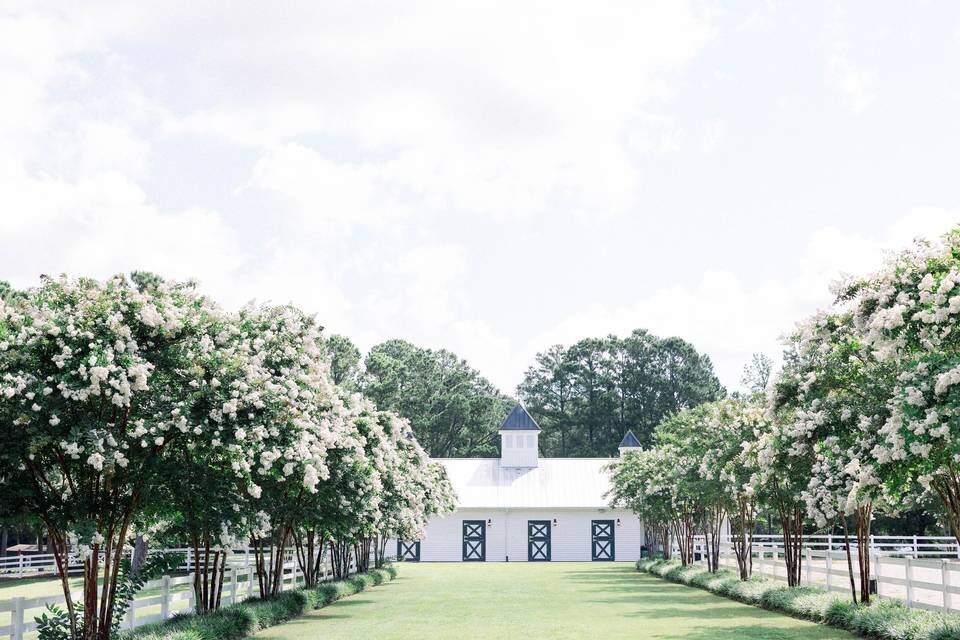 Ceremony lawn at Sycamore Bend Estate in Wilmington NC with white barn, flowering trees, and Southern garden charm