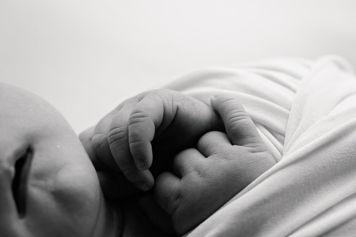 NWA newborn photographer, newborn portraits NW Arkansas