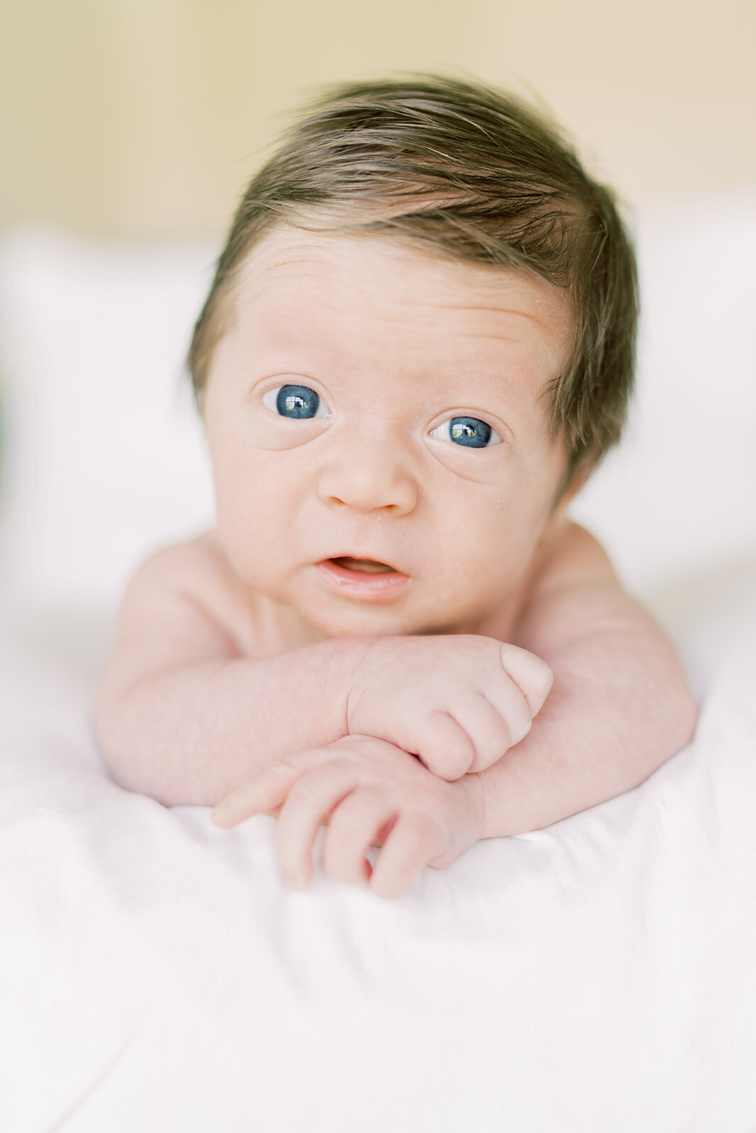 A close-up portrait of a newborn with bright blue eyes gazing directly at the camera. The baby's delicate features, soft skin, and tiny hands add to the sweetness of the moment. Captured by Austin Newborn photographer Teressa Jane, the image highlights the innocence and wonder of new life with beautiful natural lighting.
